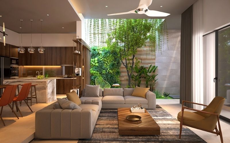 cách làm sạch không khí trong nhà